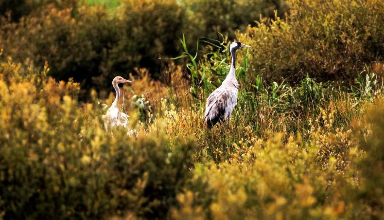 Semi-state changes sought by stakeholders