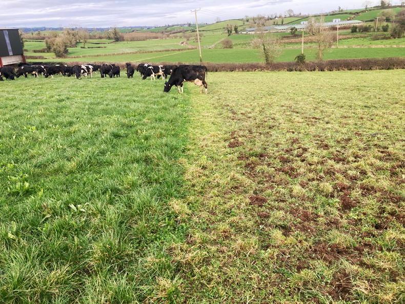 On-off grazing to the fore in spring 2026