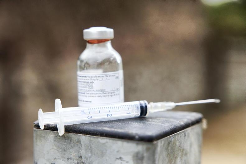 Vet's Corner: old problems and new problems surface in cattle