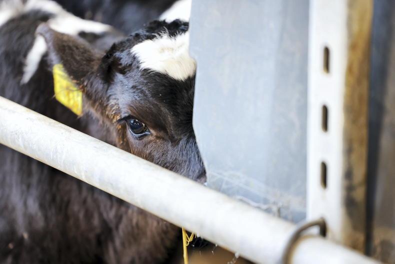 Judge warns dairy farmer he faces jail over breaking bail terms