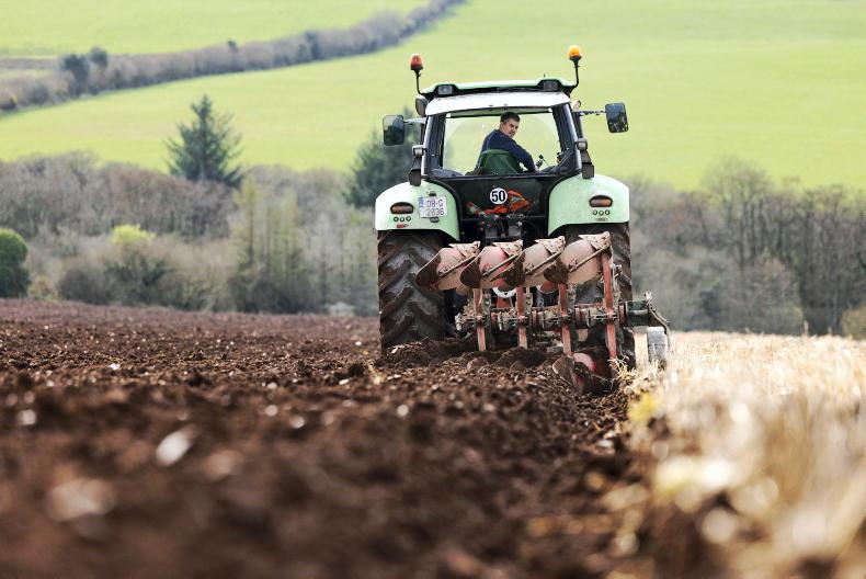 Progress in the tillage fields as bean seed demand rises