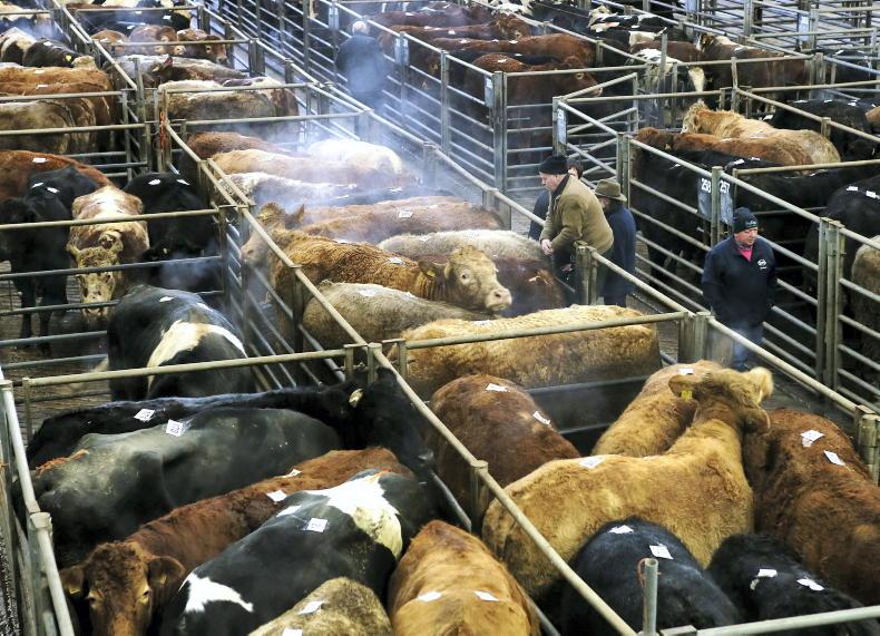 Northern Ireland diary of events