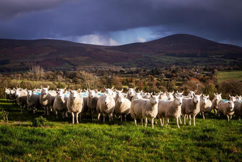 16 farmer clinics for BISS and scheme applications