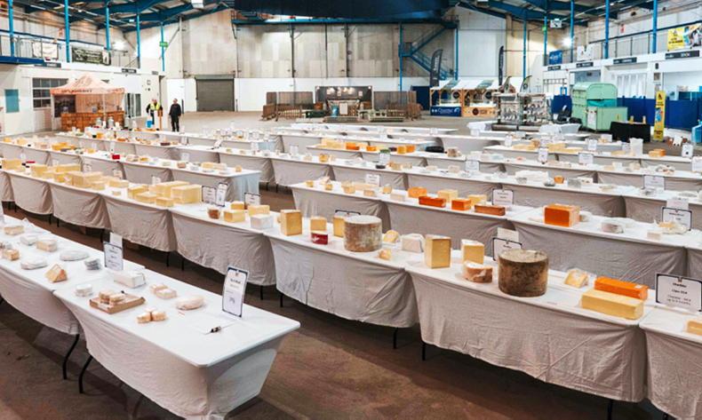 Templegall crowned best Irish cheese