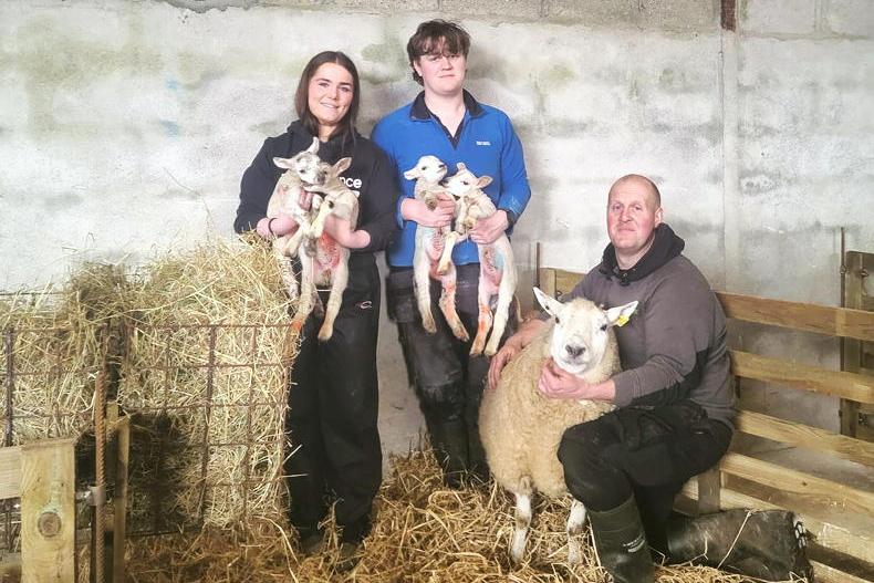 My Farming Week: Dermot Maher, Aghsmear, Roscrea, Co Tipperary