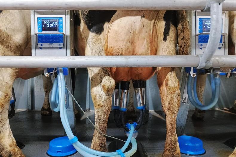 Dale Farm to make a 13th payment