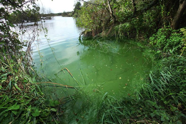 Lough Neagh legal case taken against DAERA 