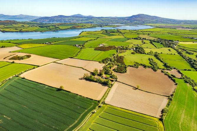 Cost of entitlements soar as shortage bites