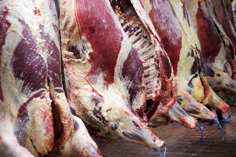 Irish beef quotes continue downward trend