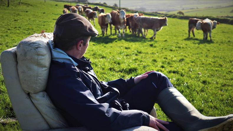 Armchair farmers in firing line                   