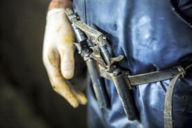 Muir urges caution with visible TB lesions