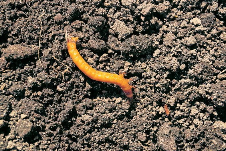 Opinion: four quick thoughts for the weekend