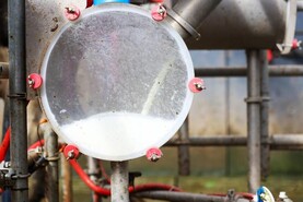 ICMSA urges Minister to support call for EU voluntary milk reduction scheme