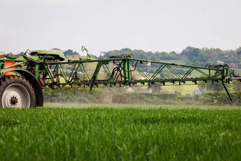 Preventing disease in winter cereals this season