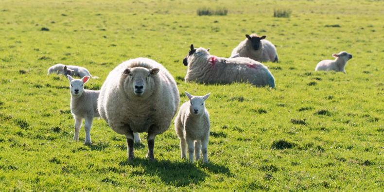 Watch: this week in pictures, as spring work ramps up on farms