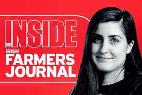 Inside the Farmers Journal: farmers selling cattle to pay drug debts