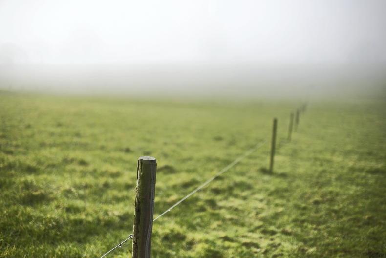 Dairy farmer jailed pending trial for breaching bail conditions