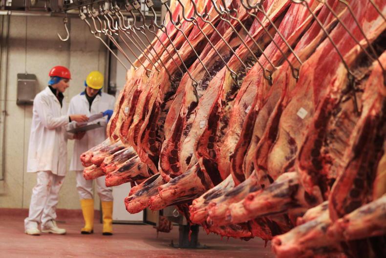 Cattle kill down over 19% year on year