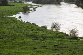 Preliminary ruling on Ireland's nitrates plan issued by European Court