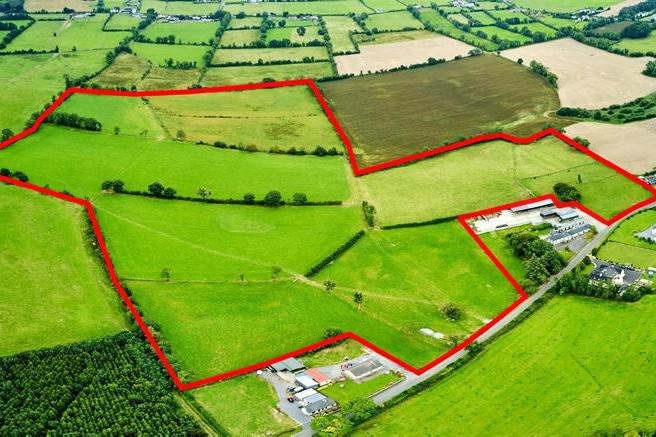 End of April auction for Westmeath land