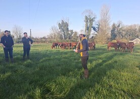 Roscommon Farmer Michael Cunniffe feeding over 160 continental in-calf heifers