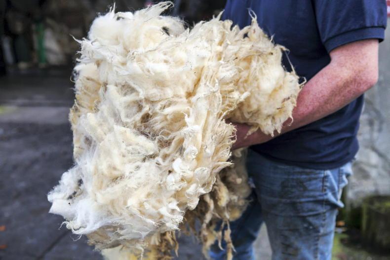 EU wool rules must change – MEP Maria Walsh