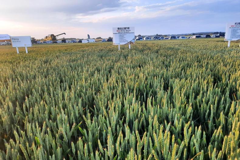 Examine varieties closely for good management