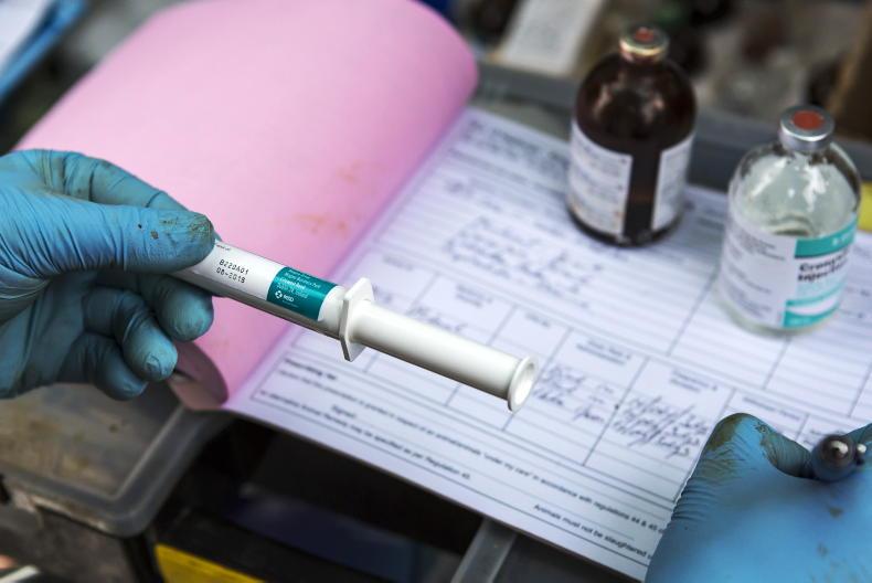 Veterinary Ireland writes to competition watchdog and Minister over fee increase