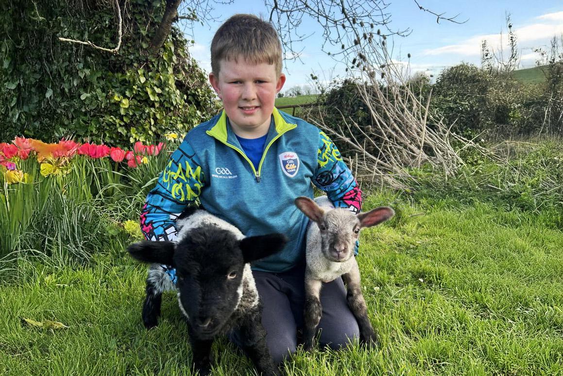 Country vibes... a few of our favourite things