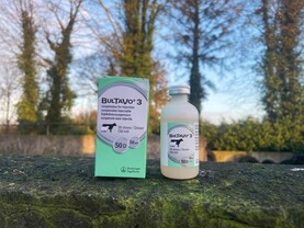 Over 16,000 cattle and sheep tested for bluetongue