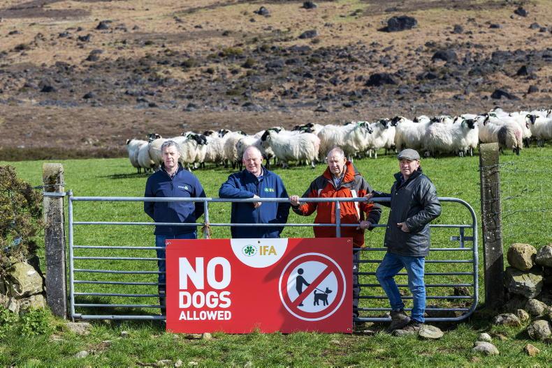 IFA and Comhairle na Tuaithe launch campaign on dog attacks