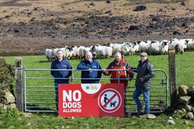 IFA and Comhairle na Tuaithe launch campaign on dog attacks