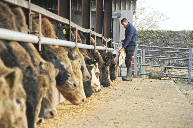 Watch: beef prices down 40c/kg since start of year