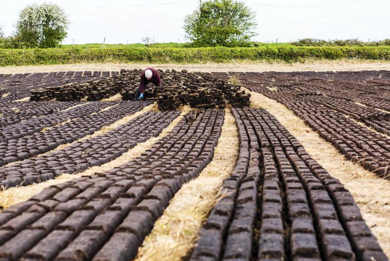 TD calls for commercial turf sales to resume during energy crisis