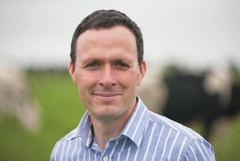 Feathers fly at wild birds forum