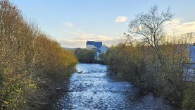 North Cork Creameries: milk plant without a milk pool