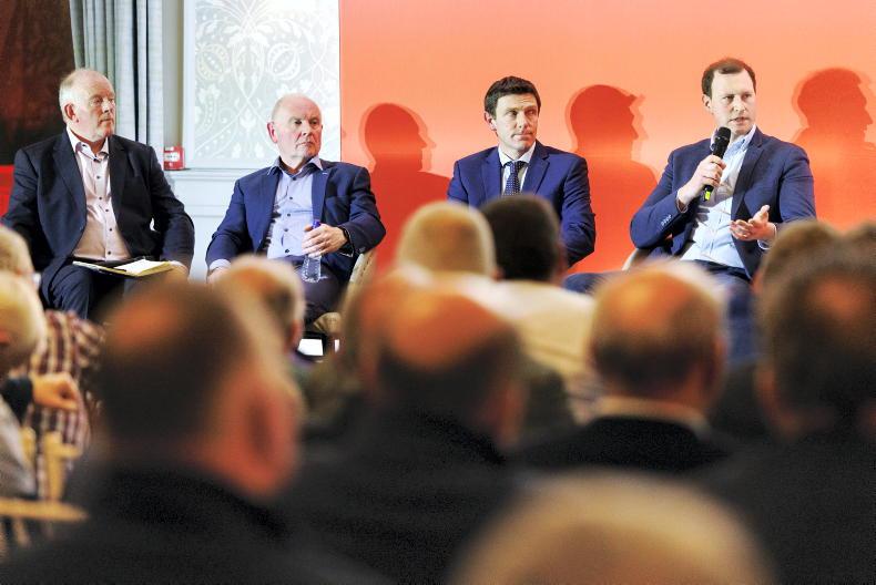 Finished cattle accruing losses of over €300 in factories – Teagasc