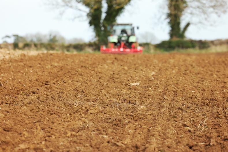 Grain Trends: rapeseed heads over €500/t