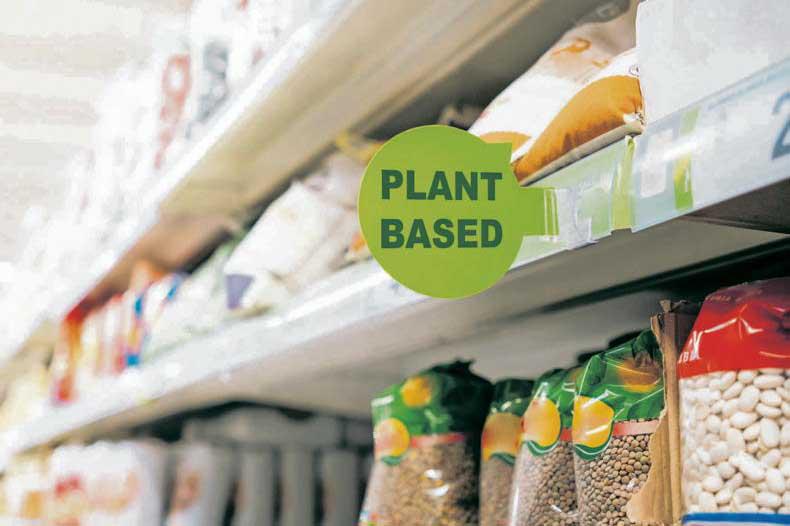 Plant-based alternatives no longer a ‘novelty buy’                            