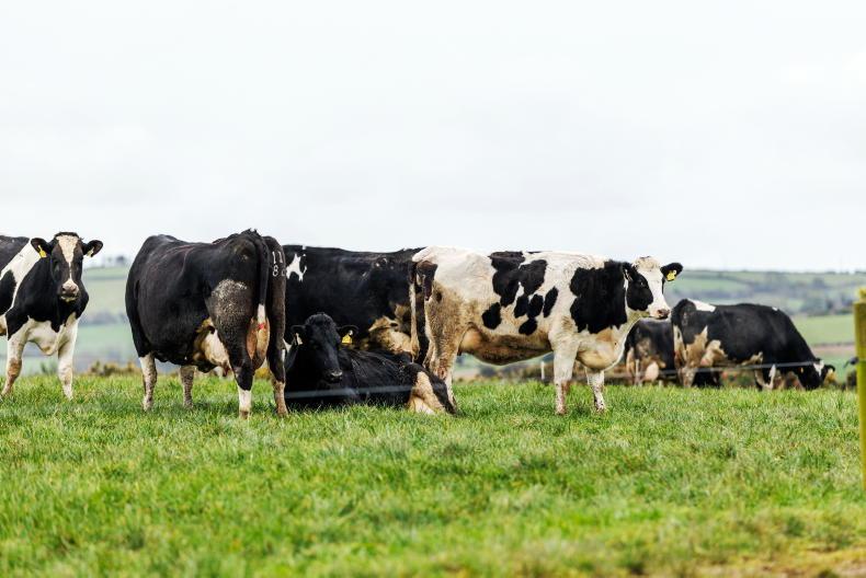 Dairy Management: milk price, grazing and reseeding