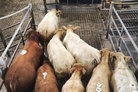 Mart throughput running 12% lower in 2026