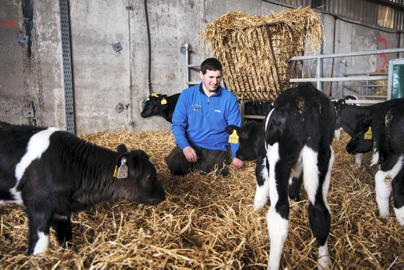 Farmer Writes: calving winding down 