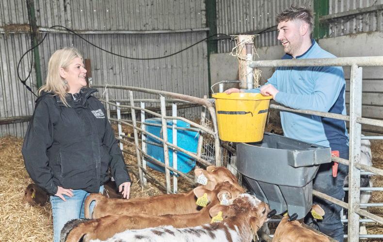 Driving calf performance along with efficiency