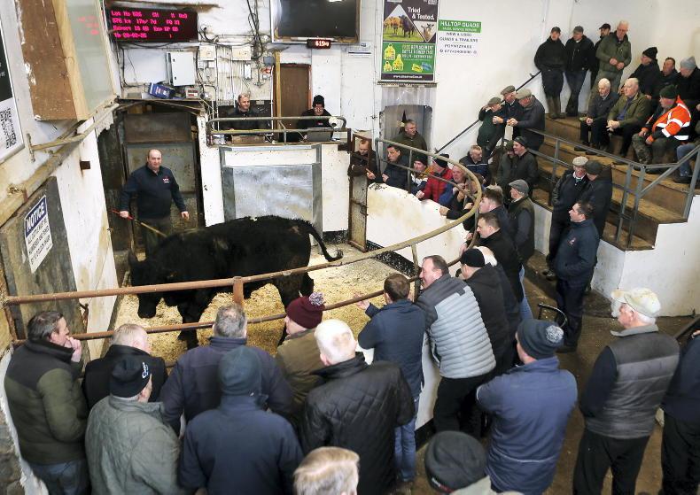 Northern Ireland diary of events