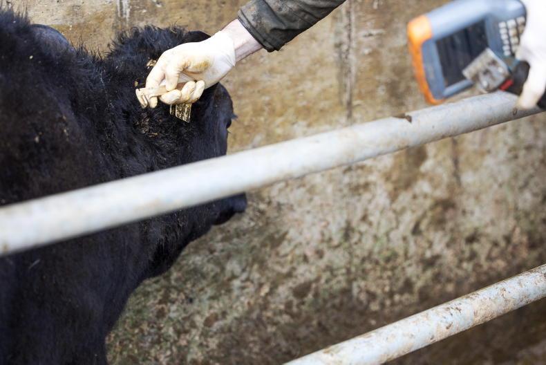 Will Heydon’s TB plan dent the disease?