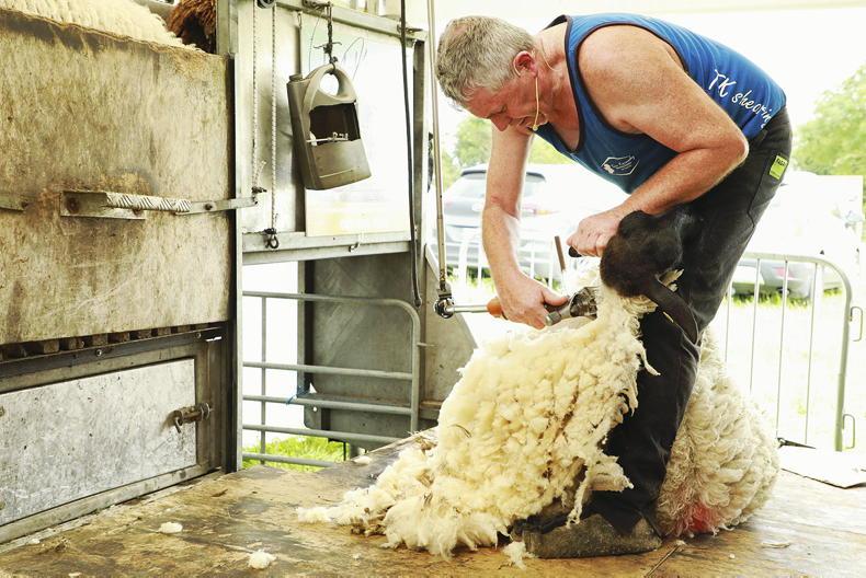 Sheep management: actions in the sheep welfare scheme