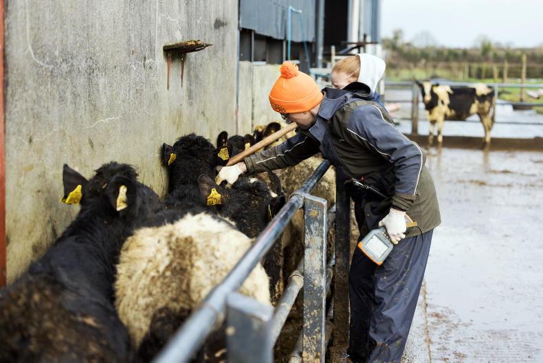 Competition watchdog to review vet fee increases