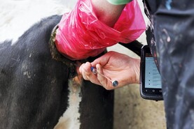 Questions and answers on Sire Advice