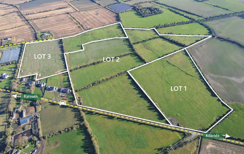Large 80ac holding near Ratoath is a rare offering