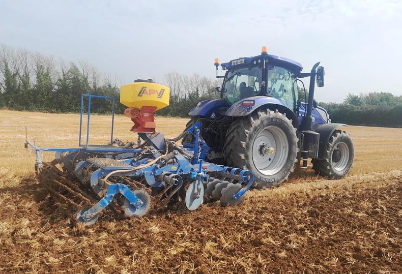 Catch crops: when to sow, what to plant and how to get them established